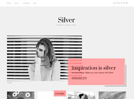 Silver Tumblr Theme