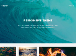 Thorn – Responsive Grid Tumblr Theme