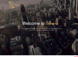 Silvana – Agency Unbounce Landing Page
