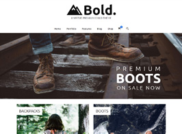 Kadence | Virtue Premium Bold Child Theme
