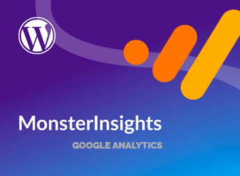 MonsterInsights Exceptions Addon