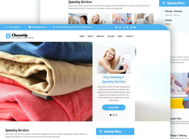 Chanatip – Responsive Dry Cleaning & Laundry Muse Template