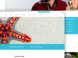 Vida – Multipurpose Muse Template