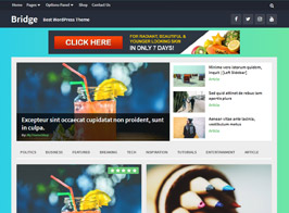 MyThemeShop Bridge