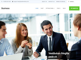 MyThemeShop Business
