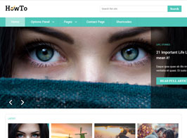MyThemeShop HowTo