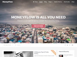 MyThemeShop MoneyFlow
