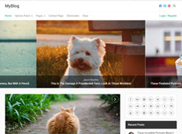 MyThemeShop MyBlog