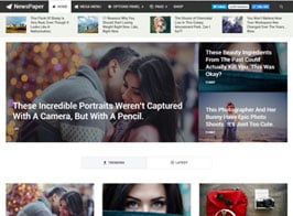 MyThemeShop NewsPaper
