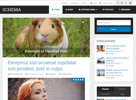 MyThemeShop Schema