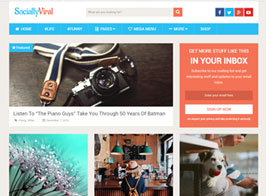 MyThemeShop SociallyViral Pro