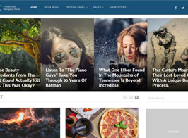 MyThemeShop WordX