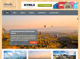 MyThemeShop Woodie