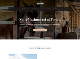 MyThemeShop Saddle