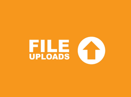 Ninja Forms File Uploads