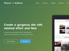 Livemesh | Addons for Beaver Builder Pro