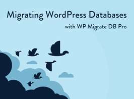 WP Migrate DB Pro