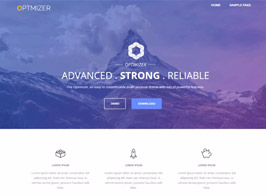 Optimizer Pro