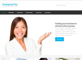 Studiopress Enterprise Pro Theme