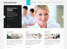 Studiopress Executive Pro Theme