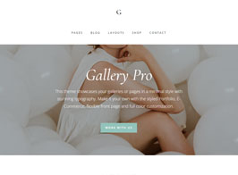 Studiopress Gallery Pro Theme