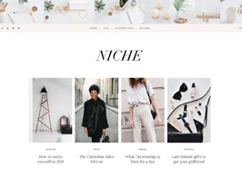 Studiopress Niche Pro Theme