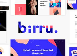 Birru – Simple Portfolio Elementor Template Kit