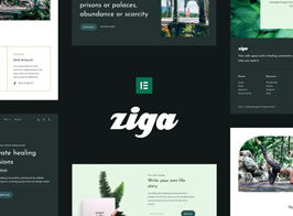 Ziga – Healer & Life Coach Elementor Template Kit