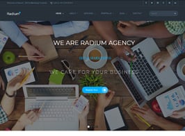 Radium – SEO /Digital Agency WordPress Theme