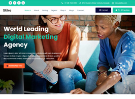 Stike – Technology & SEO IT Startup WordPress Theme