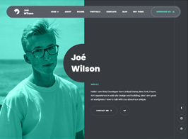 Myour – CV Resume WordPress Theme