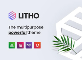 Litho – Multipurpose Elementor WordPress Theme
