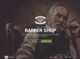 907 – Responsive Multi-Purpose WordPress Theme