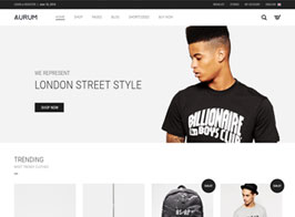 Aurum – WordPress & WooCommerce Shopping Theme