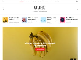 Belinni – Multi-Concept Blog / Magazine WordPress Theme