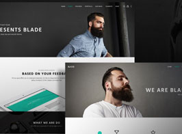 Blade – Responsive Multi-Functional Theme