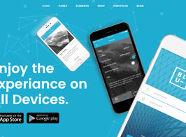 Blu – A Beautiful Theme for Businesses and Individuals