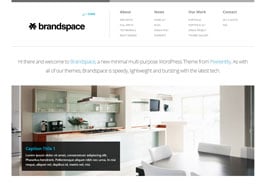 Brandspace Responsive Portfolio & Business Theme