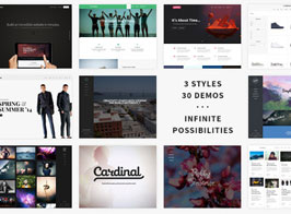 Cardinal – WordPress Theme