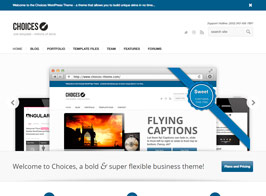 Choices – Responsive Business and Portfolio