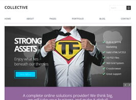 Collective – Professional WordPress Theme