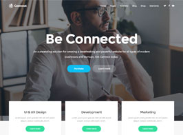 Connect – A Smart Theme for Modern Businesses and Startups