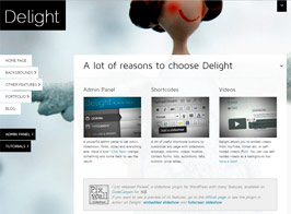 Delight – Fullscreen WordPress Portfolio Theme
