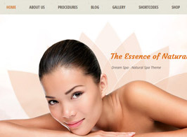Dream Spa – Salon, Spa WordPress Theme