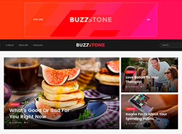 Buzz Stone | Magazine & Viral Blog WordPress Theme