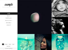 Example – Responsive & Retina Portfolio WP Theme