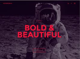 Experience – Showcase WordPress Theme