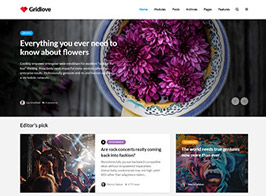 Gridlove – News Portal & Magazine WordPress Theme