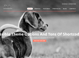 Jad – Creative WordPress Theme