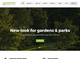 Local Business – WP Theme for Small businesses